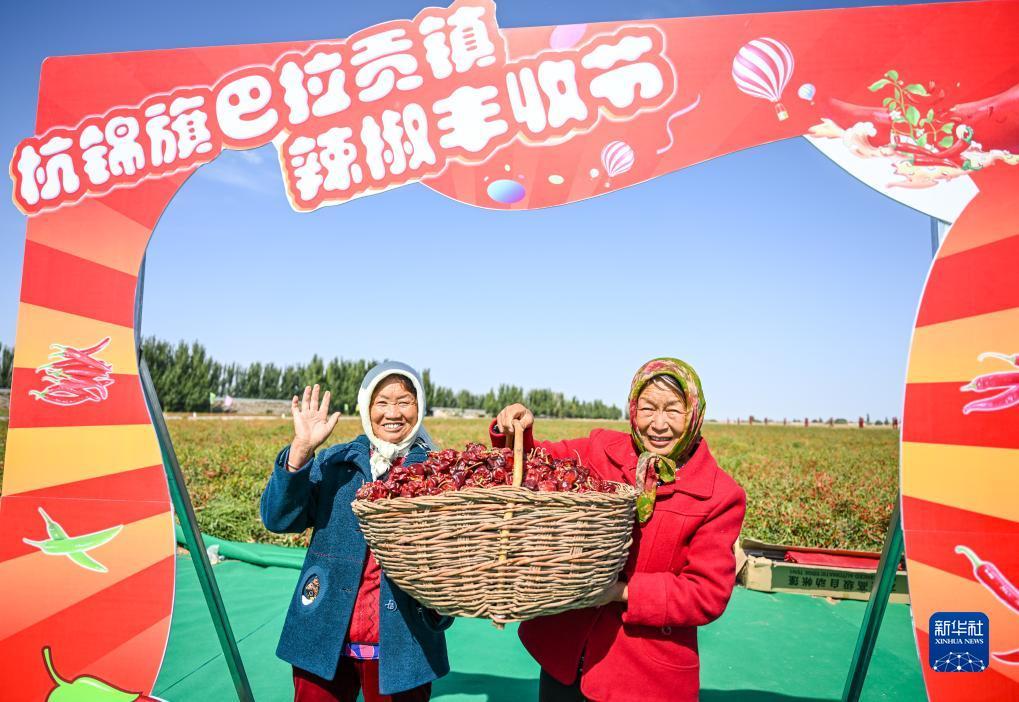 新开户送白菜网址大全